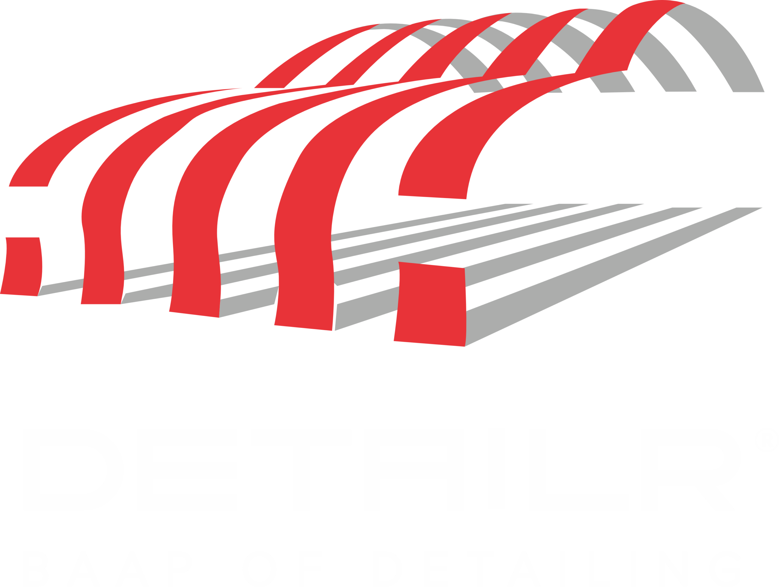Detailr-Logo_White-V1